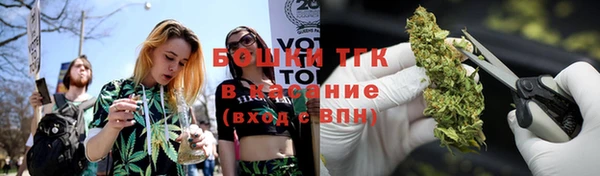 винт Бородино