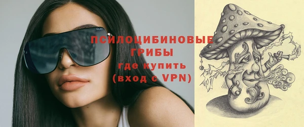 винт Бородино