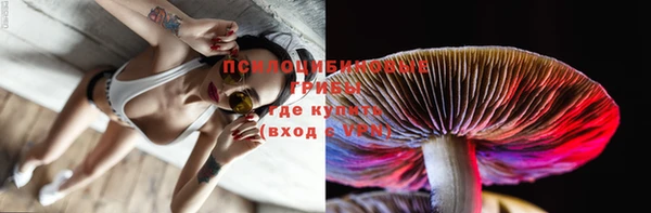 винт Бородино