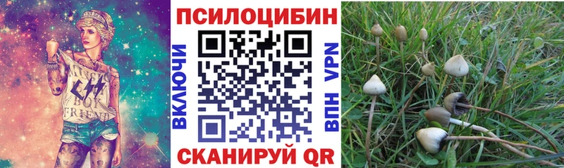 Купить закладки  Борисоглебск  Псилоцибиновые грибы Psilocybe 